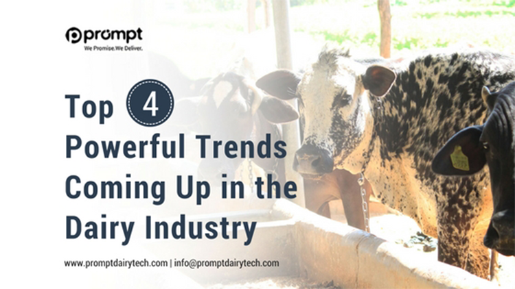 Top 4 Powerful Trends Coming Up in the Dairy Industry