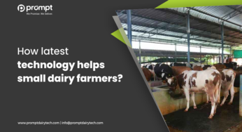 How latest technology helps small dairy farmers?