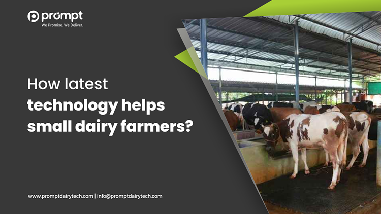 How latest technology helps small dairy farmers?