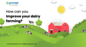 How can you improve your dairy farming?