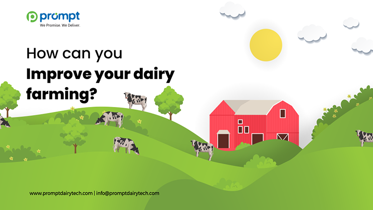 How can you improve your dairy farming?