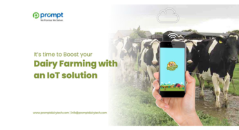 It’s time to Boost your Dairy Farming with an IoT solution