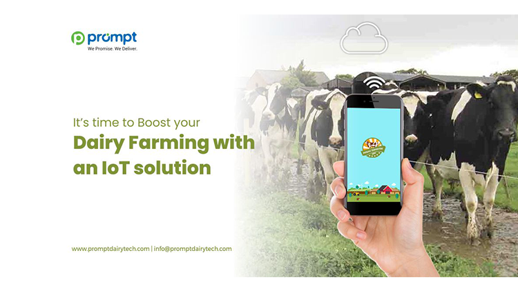 It’s time to Boost your Dairy Farming with an IoT solution