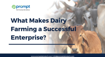 What Makes Dairy Farming a Successful Enterprise?