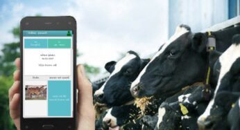 What You Need to Know about Animal Husbandry Solution?