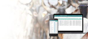 first-banner_slider