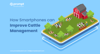 How Smartphones can Improve Cattle Management?