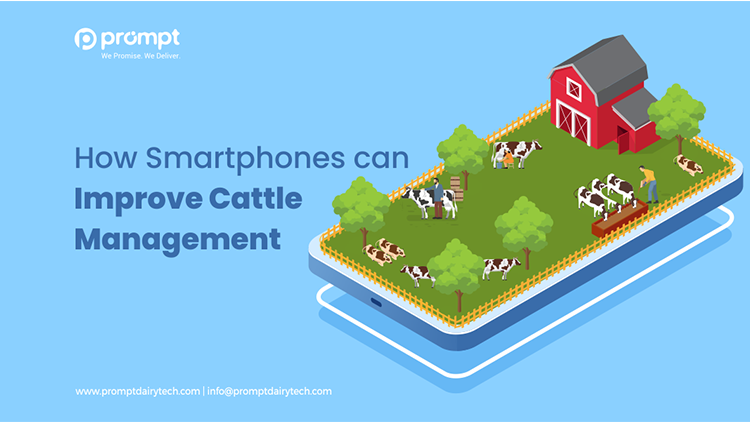 How Smartphones can Improve Cattle Management?