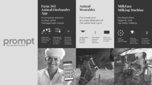 Exhibition layout for Prompt Dairy Tech