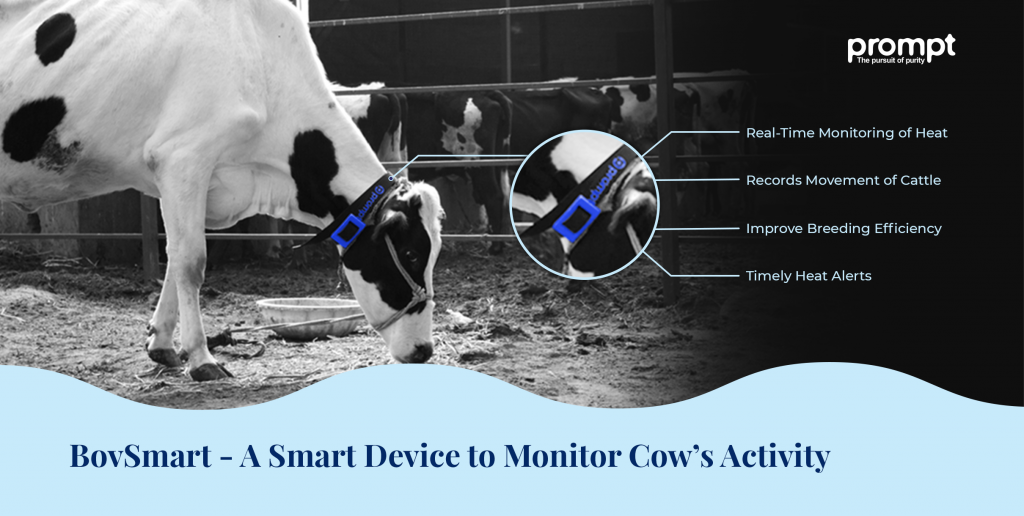 BovSmart - Animal Heat Detection System