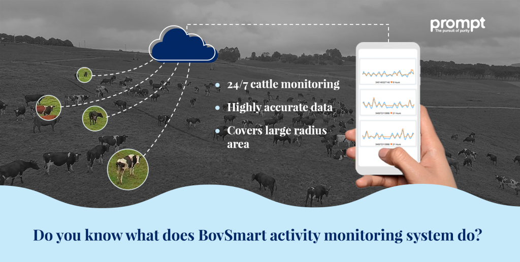BovSmart - Cattle monitoring system