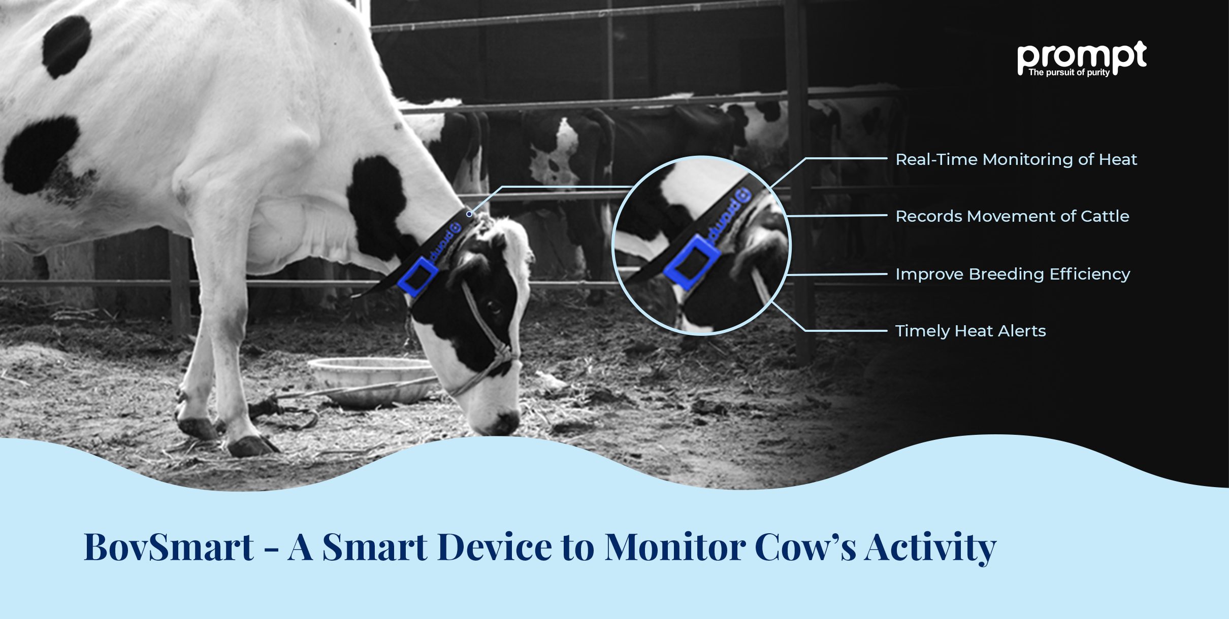 BovSmart- A Smart Device to Monitor Cow’s Activity  