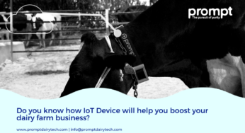How to improve dairy reproduction results with the right technology