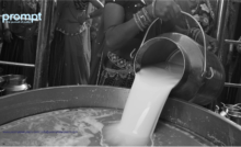 Prompt MilkoChill by Prompt Dairy Tech