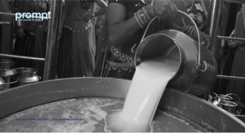 How to chill milk instantly and maintain its quality for better financial returns