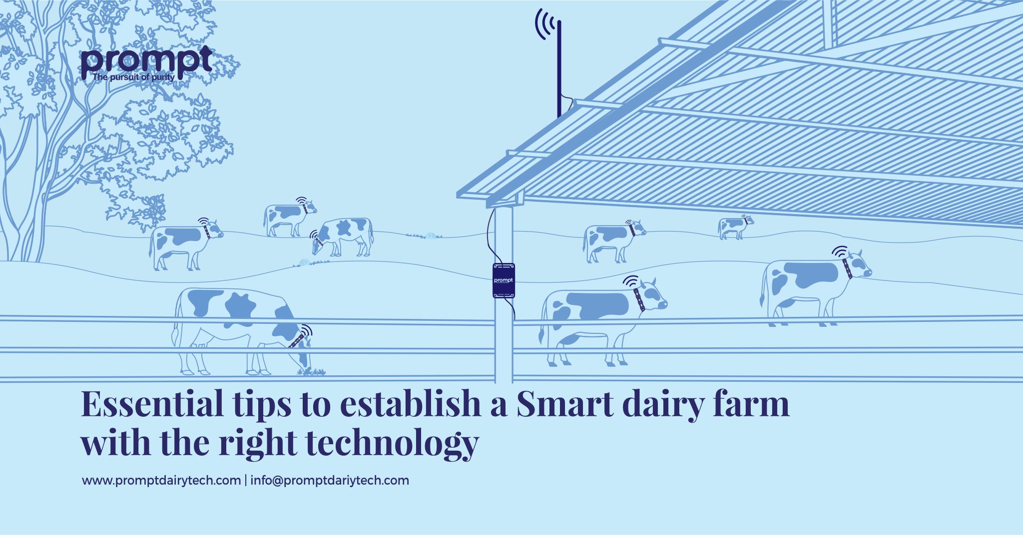 Seven essential tips to establish a dairy farm business with the right technology