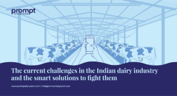 The current challenges in the Indian dairy industry and the smart solutions to fight them