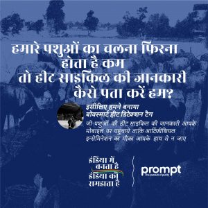 Post by Prompt Dairy Tech