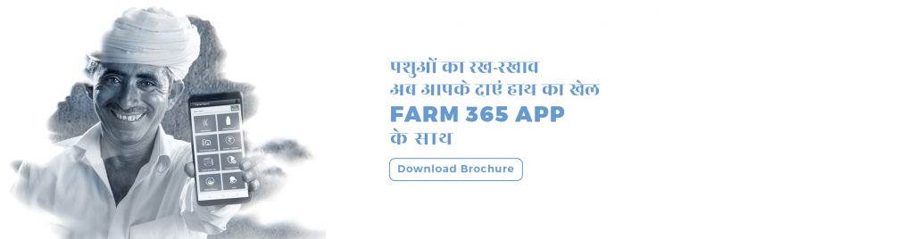 A farmer showing Farm 365 for Prompt Dairy Tech