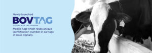 Bovtag-digital tag reader