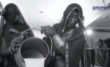 automatic milk collection system