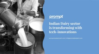 Digital Transformation of the Dairy Sector