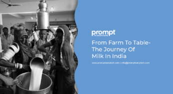 From Farm To Table: The Journey of Milk in India