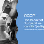 The Impact of Temperature on Milk Quality: Challenges Faced During Summer