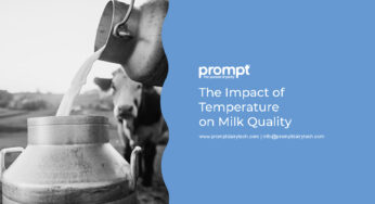 The Impact of Temperature on Milk Quality: Challenges Faced During Summer