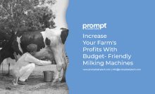 Blog on increasing farm's profit with budget-friendly milking machines by Prompt Dairy Tech