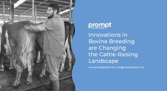 Innovations in Bovine Breeding are Changing the Cattle-raising Landscape