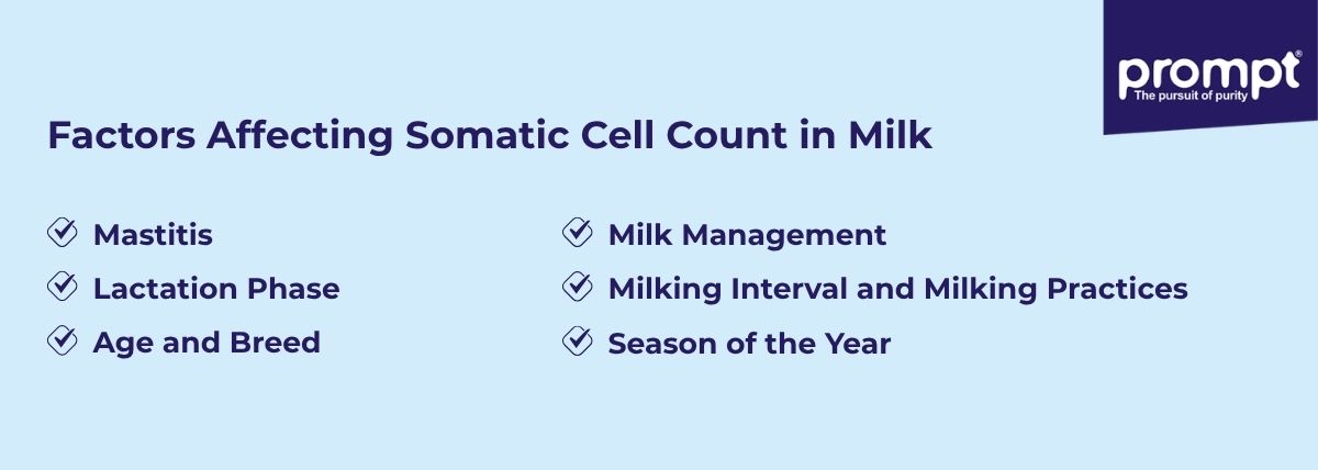 Factors Affecting Somatic Cell Count in Milk