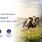How Summer and Monsoon Stress Impact Somatic Cell Count (SCC) and Milk Quality How Summer and Monsoon Stress Impact Somatic Cell Count (SCC) and Milk Quality