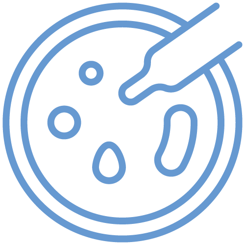 High Bacterial Activity for Reliable Fermentation