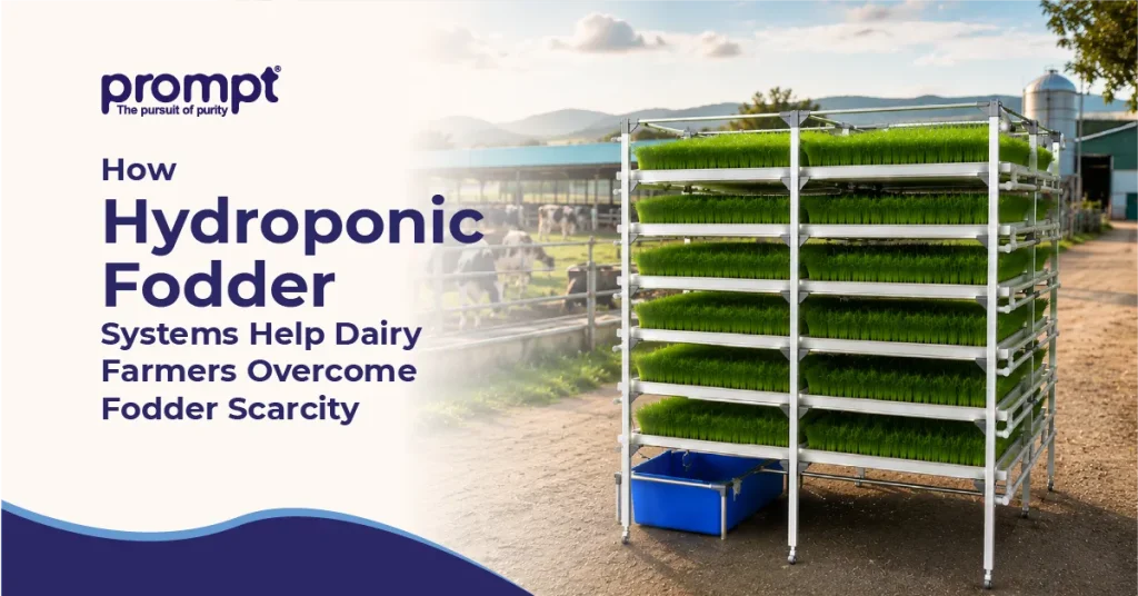 How Hydroponic Fodder Systems Help Dairy Farmers Overcome Fodder Scarcity