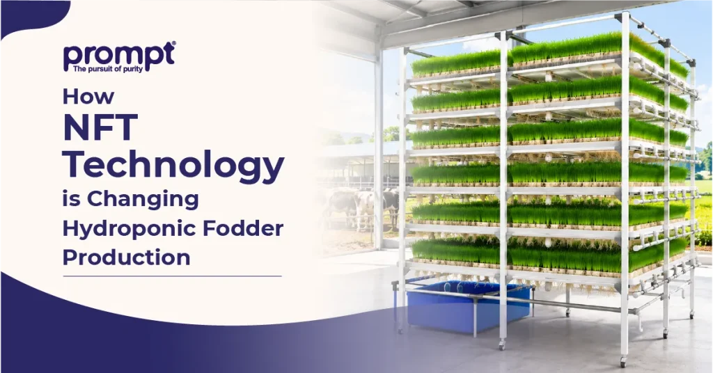 How NFT Technology is Changing Hydroponic Fodder Production