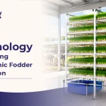 How NFT Technology is Changing Hydroponic Fodder Production How NFT Technology is Changing Hydroponic Fodder Production