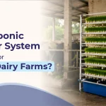 Is a Hydroponic Fodder System Worth It for Small Dairy Farms? Is a Hydroponic Fodder System Worth It for Small Dairy Farms