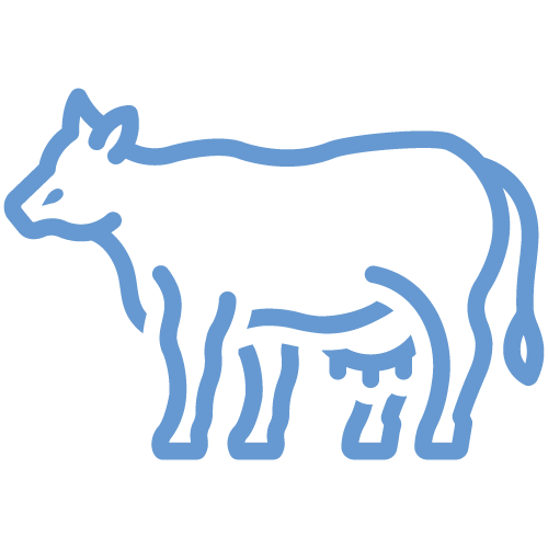 Suitable for cows and buffaloes