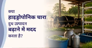 Does Hydroponic Fodder Help Increase Milk Production