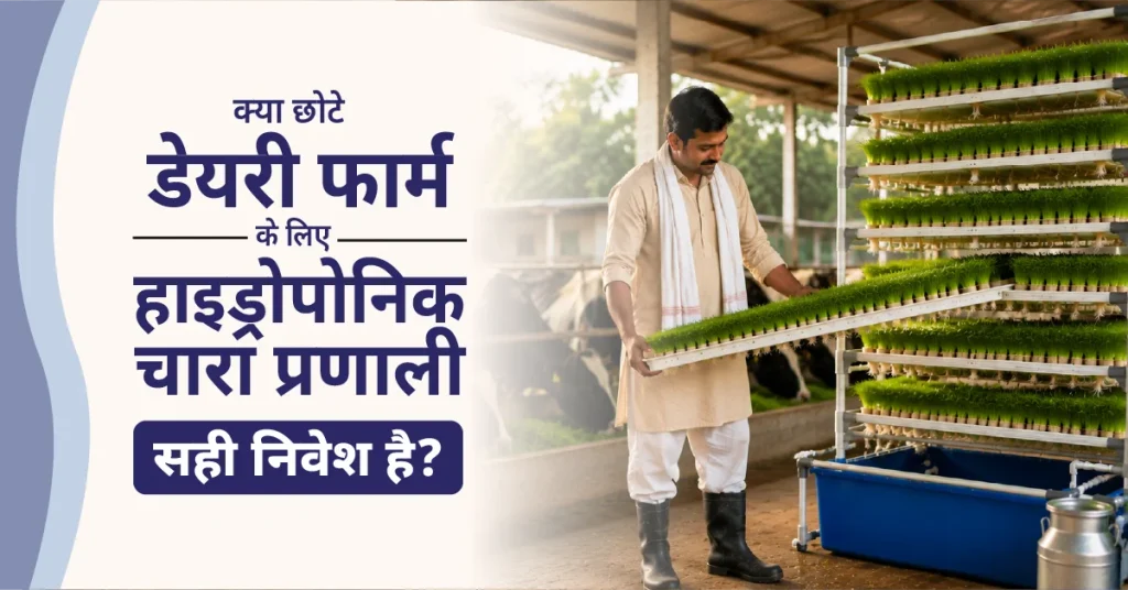Is a Hydroponic Fodder System Right Investment for a Small Dairy Farm