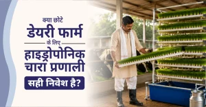 Is a Hydroponic Fodder System Right Investment for a Small Dairy Farm