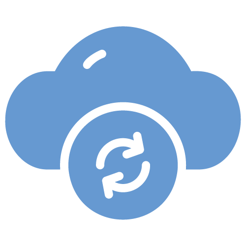 Local data backup for uninterrupted monitoring during network outages