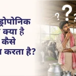हाइड्रोपोनिक चारा क्या है और यह कैसे काम करता है? What is Hydroponic Fodder and How Does It Work