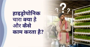 What is Hydroponic Fodder and How Does It Work