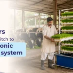 Why Dairy Farmers Should Switch to Hydroponic Fodder Systems Why Dairy Farmers Should Switch to Hydroponic Fodder Systems
