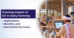 Growing Impact of IoT in Dairy Farming Applications, Benefits, and Real-World Use Cases