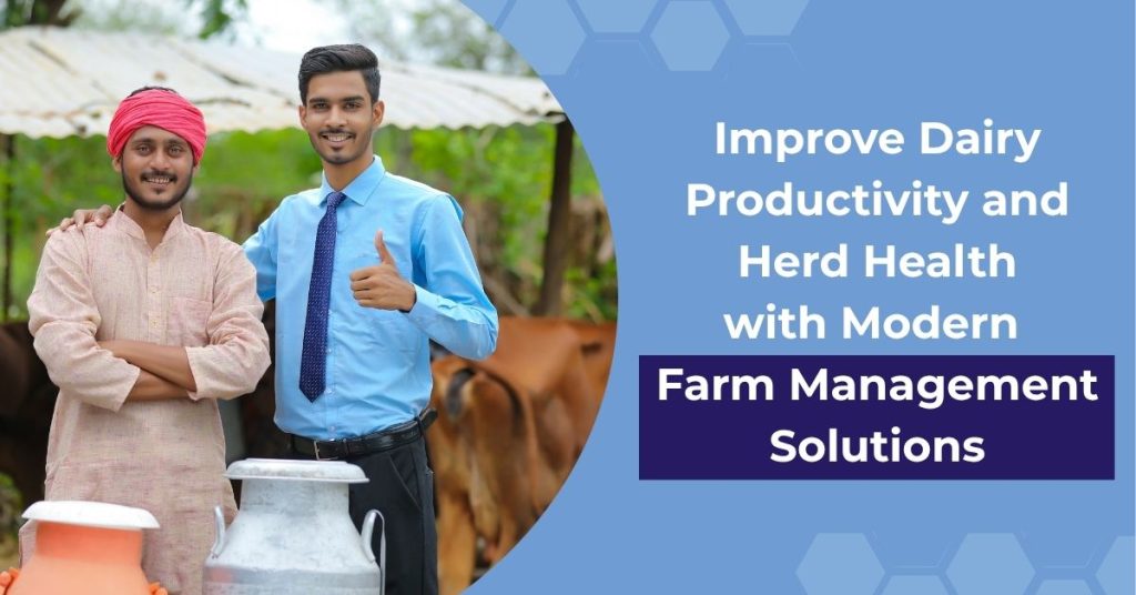 Improve Dairy Productivity and Herd Health with Modern Farm Management Solutions